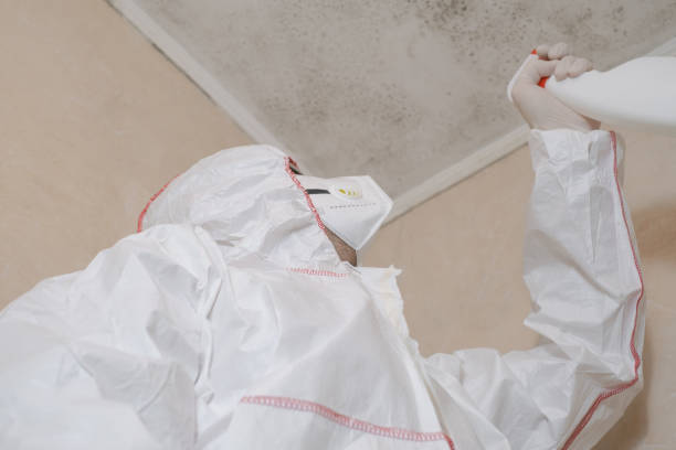 Best Health and Safety Mold Remediation in Pleasant Hill, OH